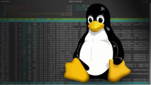 Linux 6.9