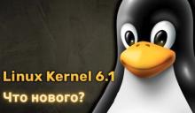 Linux 6.1