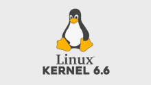 Linux 6.6