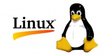 Linux 3.11 rc5