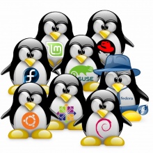 Что такое дистрибутив linux основные положения gnu gpl