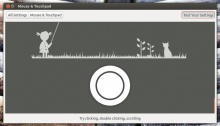 Улучшения в параметрах настройки мыши Ubuntu 13.04