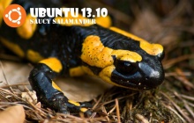 Ubuntu 13.10 Saucy Salamander