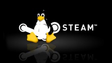 Steam for Linux