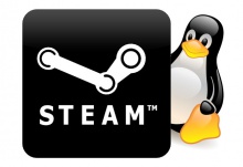 Steam for Linux