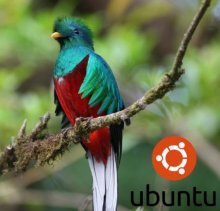 Ubuntu 12.10 Quantal Quetzal