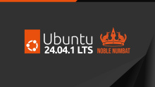 Ubuntu 24.04.1 LTS