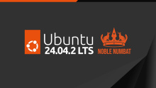 Ubuntu 24.04.2 LTS