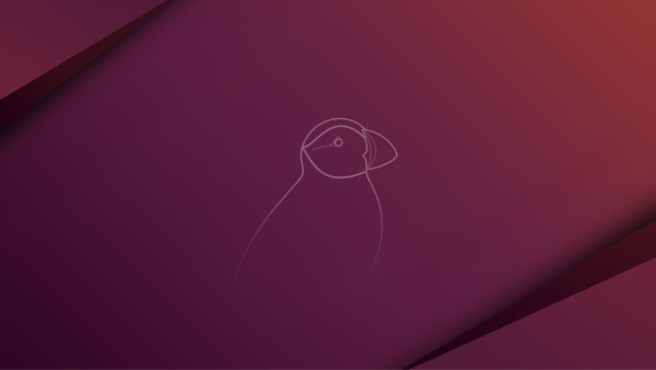 обои Ubuntu 25.04