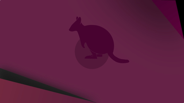 стандартные обои Ubuntu 25.10