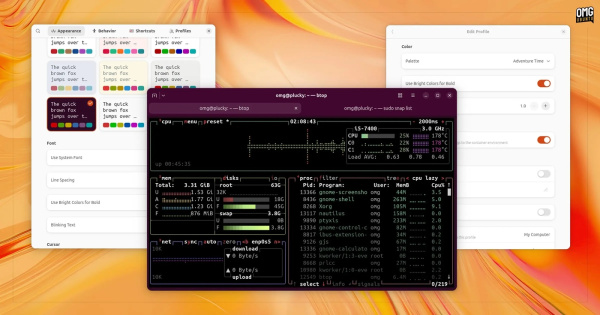эмулятор терминала Ptyxis