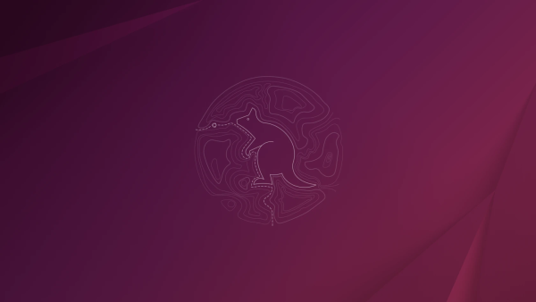 стандартные обои Ubuntu 25.10