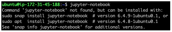 поддельный и настоящий jupyter-notebook