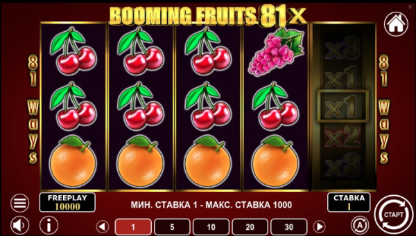 Booming Fruits 81x