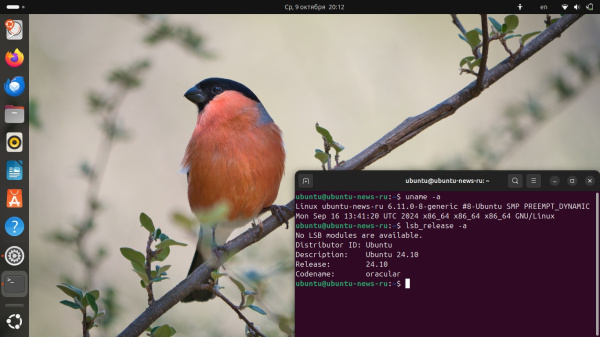 ядро Linux 6.11