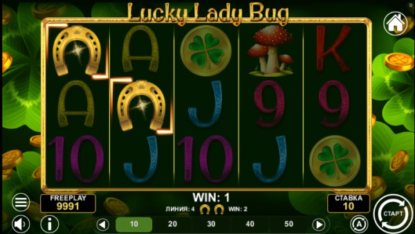 Lucky Lady Bug